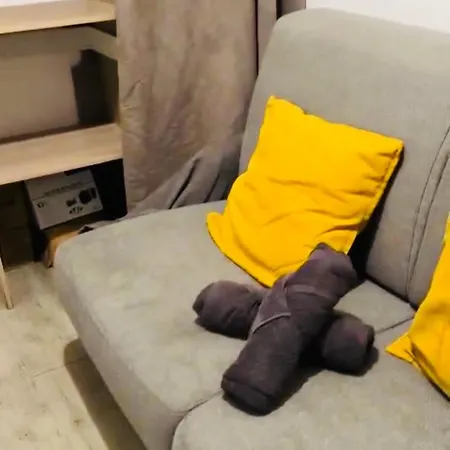 Superbe Centre Bord Bassin De La Apartment *