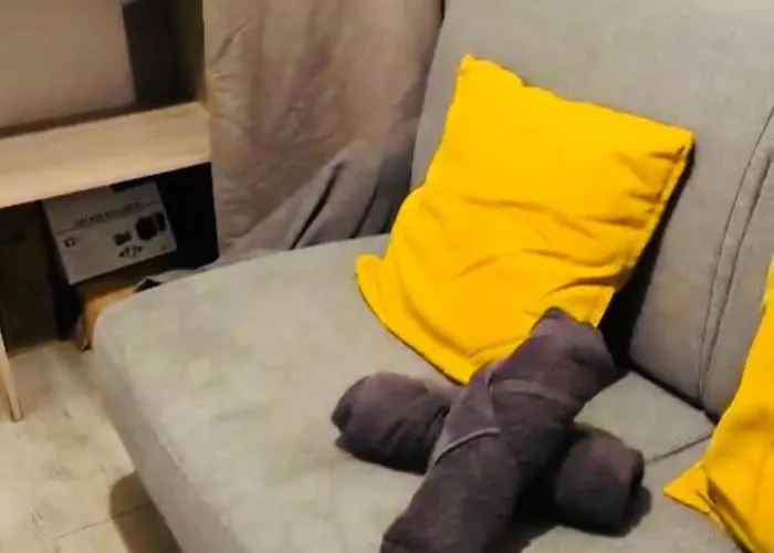 Superbe Centre Bord Bassin De La Apartment *